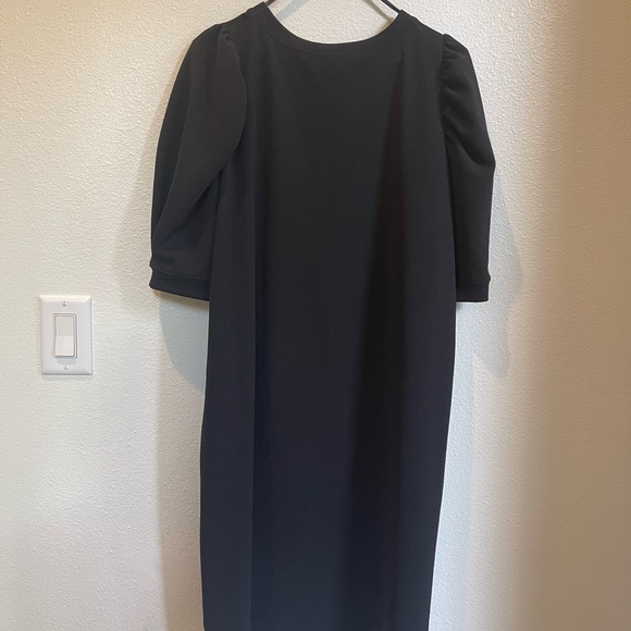 Zara Ruche Sleeve Dress - Picture 4 of 5